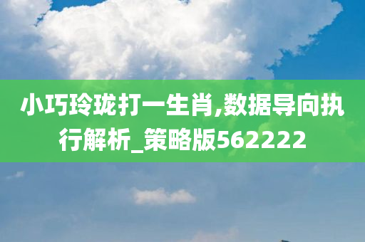 小巧玲珑打一生肖,数据导向执行解析_策略版562222