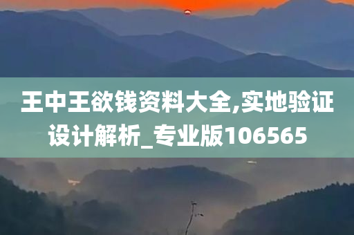 王中王欲钱资料大全,实地验证设计解析_专业版106565