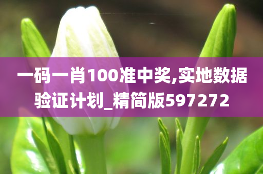 一码一肖100准中奖,实地数据验证计划_精简版597272