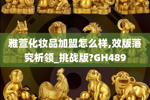 雅萱化妆品加盟怎么样,效版落究析领_挑战版?GH489