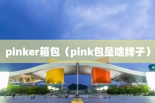 pinker箱包（pink包是啥牌子）