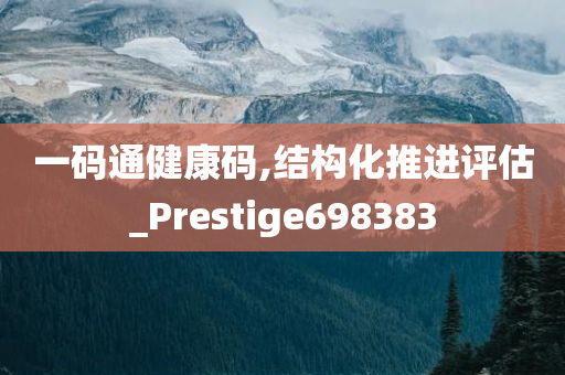 一码通健康码,结构化推进评估_Prestige698383