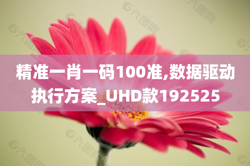 精准一肖一码100准,数据驱动执行方案_UHD款192525