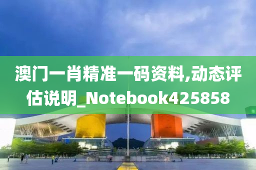 澳门一肖精准一码资料,动态评估说明_Notebook425858