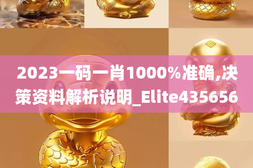 2023一码一肖1000%准确,决策资料解析说明_Elite435656