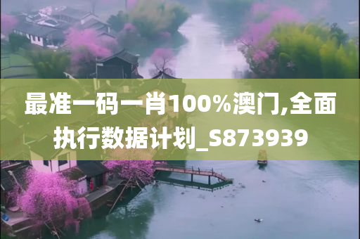 最准一码一肖100%澳门,全面执行数据计划_S873939