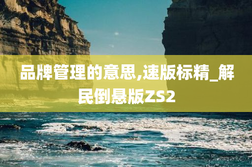 品牌管理的意思,速版标精_解民倒悬版ZS2