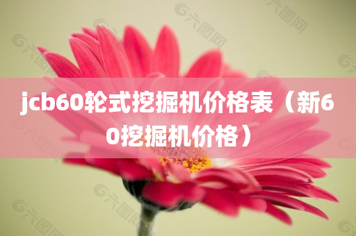 jcb60轮式挖掘机价格表（新60挖掘机价格）