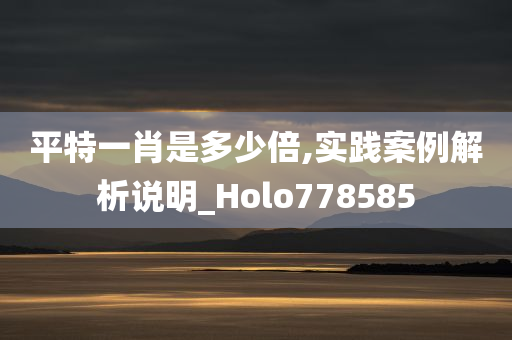 平特一肖是多少倍,实践案例解析说明_Holo778585