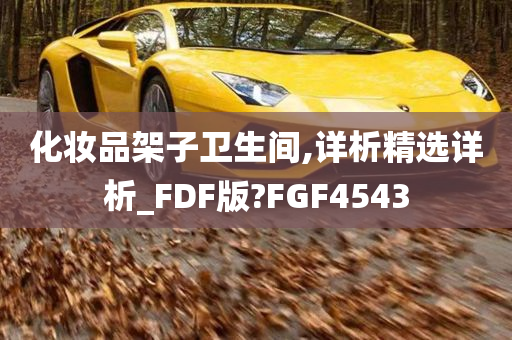 化妆品架子卫生间,详析精选详析_FDF版?FGF4543