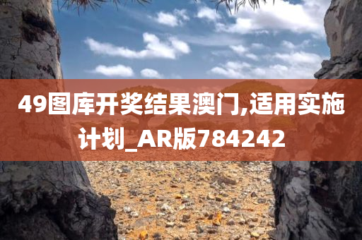 49图库开奖结果澳门,适用实施计划_AR版784242