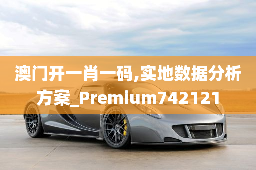 澳门开一肖一码,实地数据分析方案_Premium742121