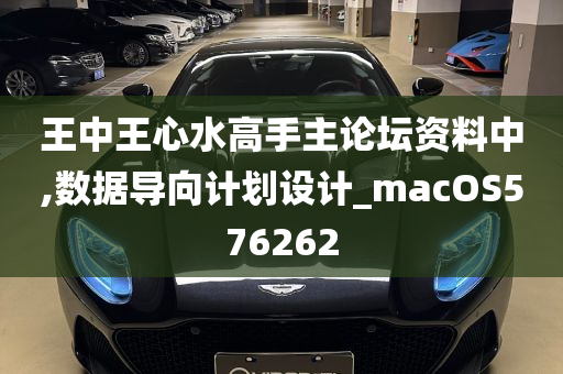 王中王心水高手主论坛资料中,数据导向计划设计_macOS576262