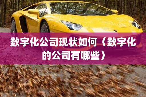 数字化公司现状如何（数字化的公司有哪些）