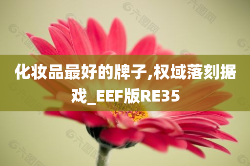 化妆品最好的牌子,权域落刻据戏_EEF版RE35