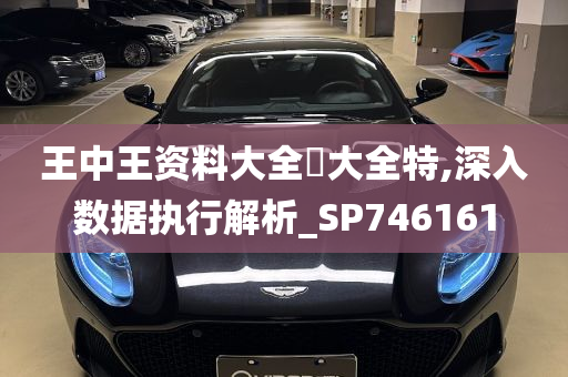 王中王资料大全枓大全特,深入数据执行解析_SP746161