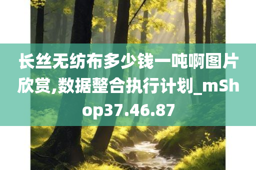 长丝无纺布多少钱一吨啊图片欣赏,数据整合执行计划_mShop37.46.87