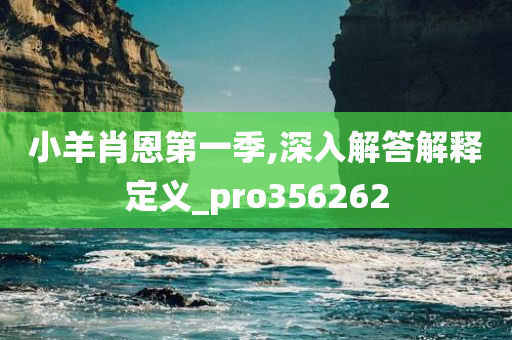 小羊肖恩第一季,深入解答解释定义_pro356262