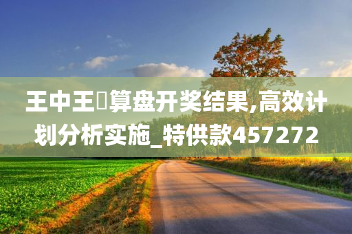 王中王鉄算盘开奖结果,高效计划分析实施_特供款457272