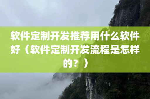 软件定制开发推荐用什么软件好（软件定制开发流程是怎样的？）