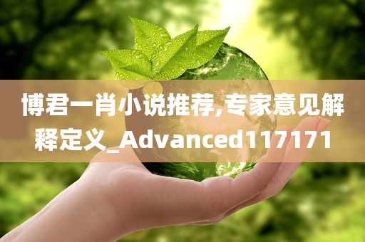 博君一肖小说推荐,专家意见解释定义_Advanced117171