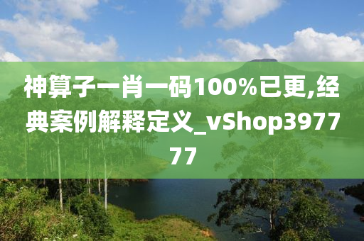 神算子一肖一码100%已更,经典案例解释定义_vShop397777