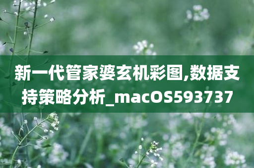 新一代管家婆玄机彩图,数据支持策略分析_macOS593737