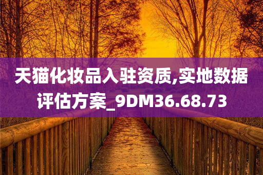 天猫化妆品入驻资质,实地数据评估方案_9DM36.68.73