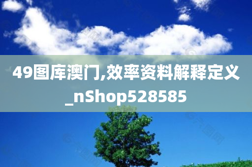 49图库澳门,效率资料解释定义_nShop528585