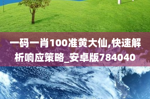 一码一肖100准黄大仙,快速解析响应策略_安卓版784040