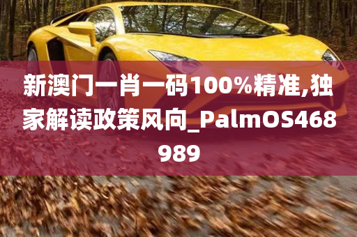 新澳门一肖一码100%精准,独家解读政策风向_PalmOS468989