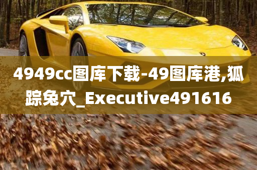 4949cc图库下载-49图库港,狐踪兔穴_Executive491616