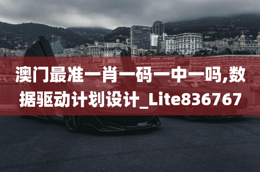 澳门最准一肖一码一中一吗,数据驱动计划设计_Lite836767