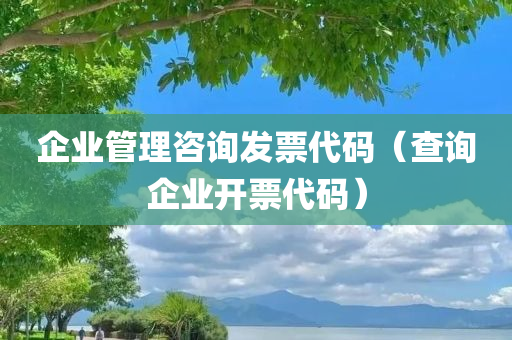 企业管理咨询发票代码（查询企业开票代码）