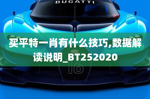 买平特一肖有什么技巧,数据解读说明_BT252020