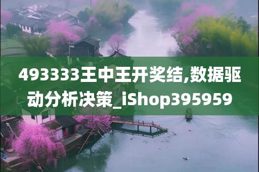 493333王中王开奖结,数据驱动分析决策_iShop395959