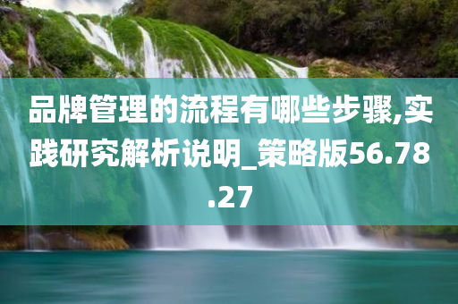 品牌管理的流程有哪些步骤,实践研究解析说明_策略版56.78.27