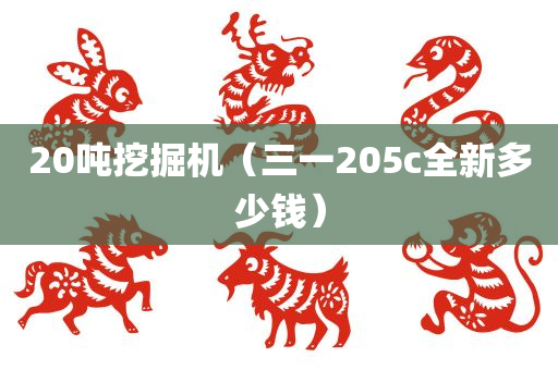 20吨挖掘机（三一205c全新多少钱）