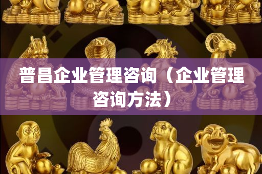 普昌企业管理咨询（企业管理咨询方法）