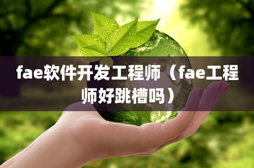 fae软件开发工程师（fae工程师好跳槽吗）