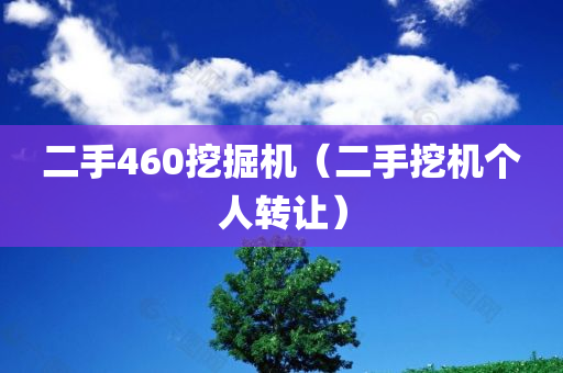 二手460挖掘机（二手挖机个人转让）