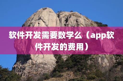 软件开发需要数学么（app软件开发的费用）