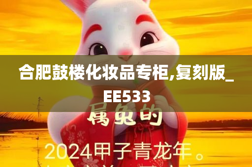 合肥鼓楼化妆品专柜,复刻版_EE533