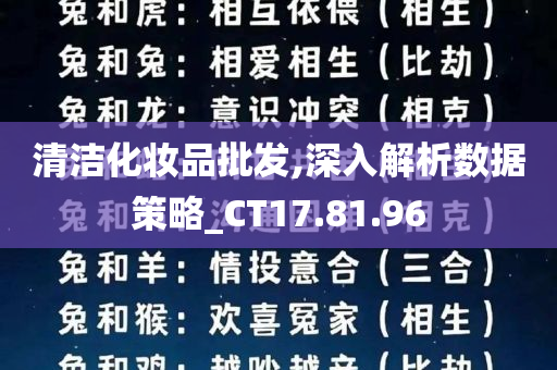 清洁化妆品批发,深入解析数据策略_CT17.81.96