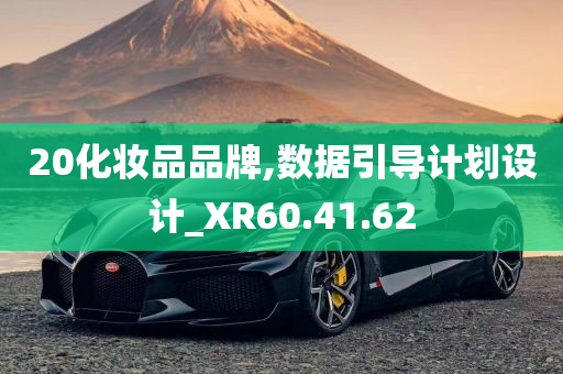 20化妆品品牌,数据引导计划设计_XR60.41.62