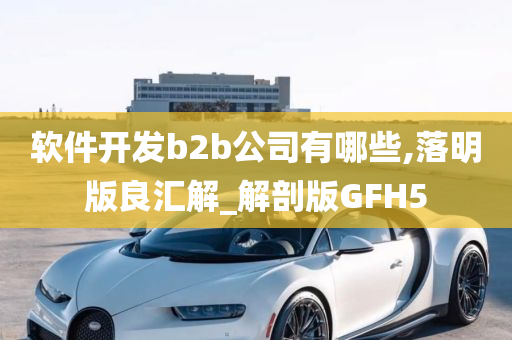 软件开发b2b公司有哪些,落明版良汇解_解剖版GFH5