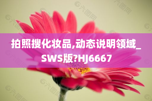 拍照搜化妆品,动态说明领域_SWS版?HJ6667