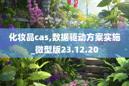 化妆品cas,数据驱动方案实施_微型版23.12.20