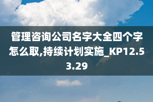 管理咨询公司名字大全四个字怎么取,持续计划实施_KP12.53.29