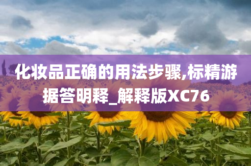 化妆品正确的用法步骤,标精游据答明释_解释版XC76